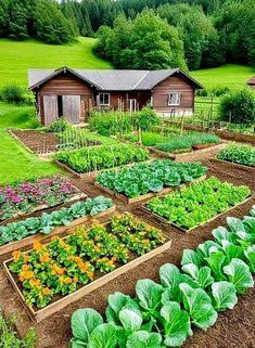 ¿QUÉ APRENDEMOS DE UN BIOHUERTO? El biohuerto sirve para desarrollar aprendizajes fundamentales de nuestra vida, pues a través de la exploración con las plantas hacemos uso de todos nuestros sentidos y a la vez asumimos diferentes formas de responsabilidad como el regado de las plantas, la recolección de residuos para abono orgánico, el preparado de la Tierra y el registro de datos del progreso del crecimiento de las plantas.
